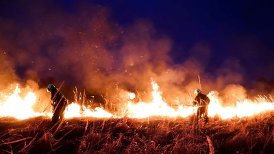 На Київщині На Київщині