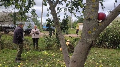 Буревій в Бурині на Сумщині: що розповідають очевидці Буревій в Бурині на Сумщині: що розповідають очевидці