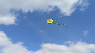 В небо над Миколаївщиною запустили семиметрові тюльпани В небо над Миколаївщиною запустили семиметрові тюльпани