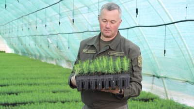 Житомирські лісівники привезли з-за кордону ґрунт, в якому не росте бур'ян