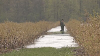 затоплення