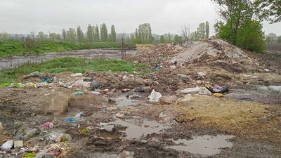 Незаконне звалище тваринних рештків виявили на Вінниччині