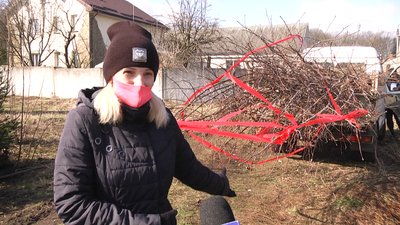 У Житомирі Зеленбуд подарував ОСББ 700 саджанців липи, клену, дубу та горобини У Житомирі Зеленбуд подарував ОСББ 700 саджанців липи, клену, дубу та горобини