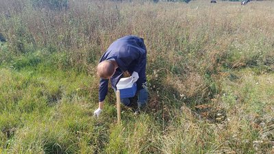 На Хмельниччині розпочали вакцинацію диких тварин від сказу