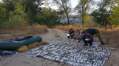 Збитків більш ніж на 260 тисяч: на Черкащині упіймали браконьєрів