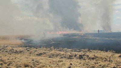 На Харківщині через несправний автомобіль вигоріло пшеничне поле На Харківщині через несправний автомобіль вигоріло пшеничне поле