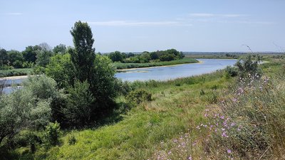заповідник, кримінал, Дніпро