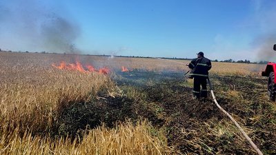 На Миколаївщині обстріли російських військ спричинили дві пожежі — ДСНС На Миколаївщині обстріли російських військ спричинили дві пожежі — ДСНС