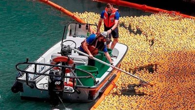 У США влаштували "перегони" гумових качок. Що отримали переможці У США влаштували "перегони" гумових качок. Що отримали переможці