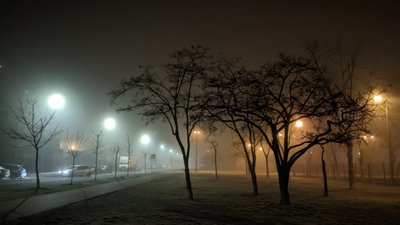 Туман у Києві, 18 грудня 2025 року
