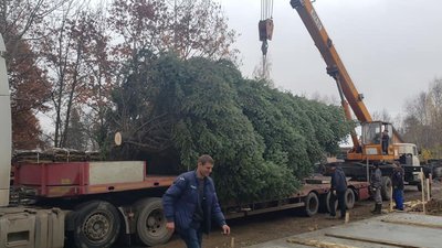 Рік був важкий. На Прикарпатті вже встановили новорічну ялинку