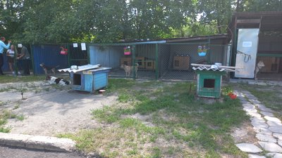 Із волонтерами у Полтаві планують укладати договори про опіку над прилаштованими у сім’ї тваринами Із волонтерами у Полтаві планують укладати договори про опіку над прилаштованими у сім’ї тваринами