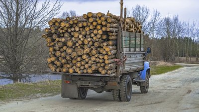 На Чернігівщині завантажений лісом "Урал" на смерть збив чоловіка