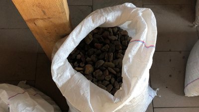 На Рівненщині вилучили бурштину на майже два мільйони гривень – прокуратура На Рівненщині вилучили бурштину на майже два мільйони гривень – прокуратура