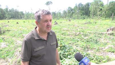 На Житомирщині почали роботи з догляду за посадженими лісовими культурами – обсапують саджанці На Житомирщині почали роботи з догляду за посадженими лісовими культурами – обсапують саджанці