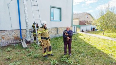 Врятоване кошеня на руках господаря Врятоване кошеня на руках господаря