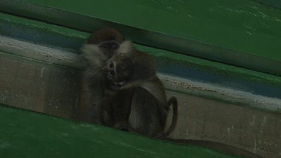 Філя і Кірюша Філя і Кірюша
