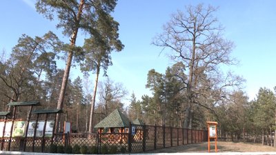 Відсьогодні на Волині заборонено відпочивати у лісових рекреаційних пунктах Відсьогодні на Волині заборонено відпочивати у лісових рекреаційних пунктах