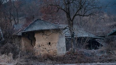 Безпека дітей. Волонтери розповіли про базові правила поведінки у місті та селі Безпека дітей. Волонтери розповіли про базові правила поведінки у місті та селі