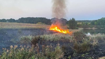 На Черкащині ліквідували 14 пожеж за добу На Черкащині ліквідували 14 пожеж за добу
