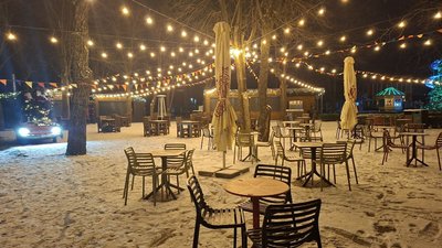 дендропарк, електрика, світло