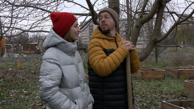 "Сади зростання": у Луцьку готують до зими міський город "Сади зростання": у Луцьку готують до зими міський город