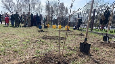 25 кущів калини у Тернополі висадили переселенці і військові 25 кущів калини у Тернополі висадили переселенці і військові