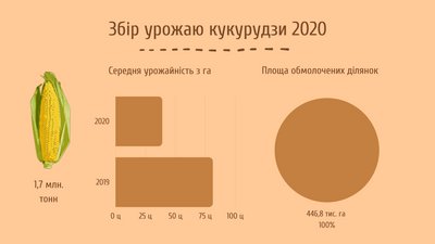 Удвічі менша врожайність: на Черкащині завершився збір урожаю Удвічі менша врожайність: на Черкащині завершився збір урожаю