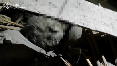 Обвал даху на Одещині, Білгород-Дністровський, ДСНС Одещини