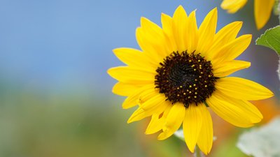 якою буде погода 29 серпня на Миколаївщині