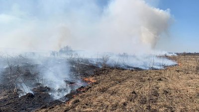За минулу добу на Львівщині зареєстрували 75 підпалів сухостою