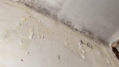 Зруйновані будинки, пліснява на вцілілих стінах. Як живуть херсонці через п'ять місяців після підриву РФ Каховської ГЕС Зруйновані будинки, пліснява на вцілілих стінах. Як живуть херсонці через п'ять місяців після підриву РФ Каховської ГЕС