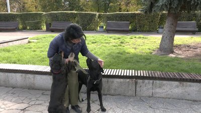 Свято під обстрілами: як відзначають День захисників та захисниць черкащани на фронті Свято під обстрілами: як відзначають День захисників та захисниць черкащани на фронті