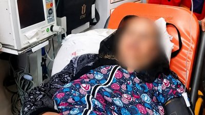 На Закарпатті після укусу гадюки госпіталізували жінку