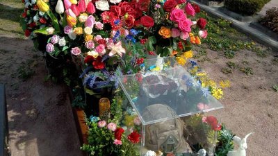 Житомир, наруга над могилою, захисник, суд