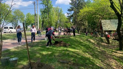 В Тернополі висадили алею присвячену містам-героям В Тернополі висадили алею присвячену містам-героям