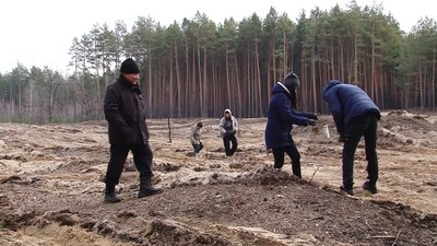 Ручна висадка лісу Ручна висадка лісу