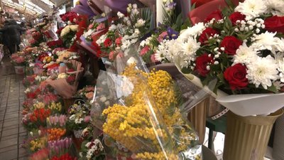 "Стоп первоцвіт": львівські правоохоронці розпочали екорейди "Стоп первоцвіт": львівські правоохоронці розпочали екорейди