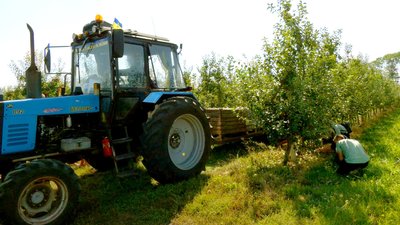 "Бездощовий період вплинув на урожай": скільки тонн яблук планують зібрати на Вінниччині "Бездощовий період вплинув на урожай": скільки тонн яблук планують зібрати на Вінниччині