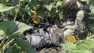 На Полтавщині знешкодили російський ударний БпЛА, який виявили в полі: що відомо