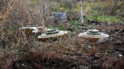 Піротехніки ДСНС за добу вилучили 236 боєприпасів на Миколаївщині
