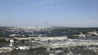 На Миколаївщині на міні підірвалися дві людини