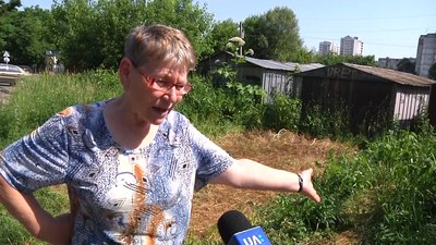 У Житомирі розростається борщівник