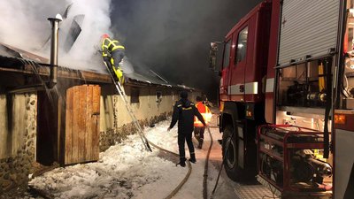 Внаслідок пожежі на Закарпатті згоріли 30 свиней та 60 курей