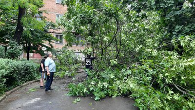 Пошкоджені електромережі та повалені дерева. У Миколаєві ліквідовують наслідки негоди Пошкоджені електромережі та повалені дерева. У Миколаєві ліквідовують наслідки негоди