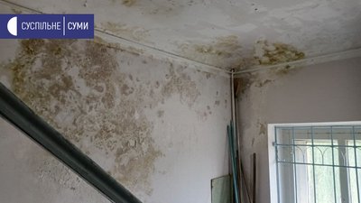 Музей і пліснява Музей і пліснява
