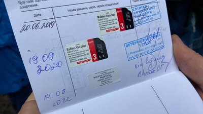 На Полтавщині триває імунізація домашніх тварин від сказу На Полтавщині триває імунізація домашніх тварин від сказу