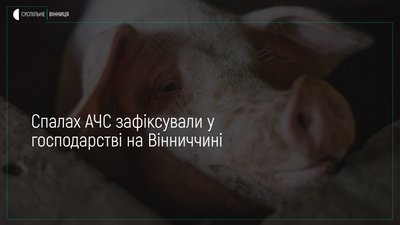 Спалах африканської чуми свиней зафіксували на Вінниччині