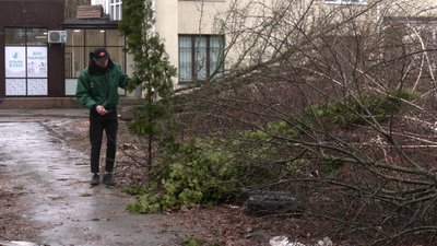 Дмитро Савченко показує зрізані дерева