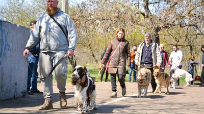 В Одесі оголосили "собачу мобілізацію". ФОТО, ВІДЕО